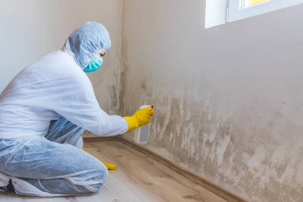 Mold Remediation specialist working in Woodbury
